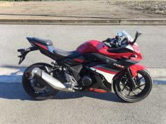 Suzuki GSX250R