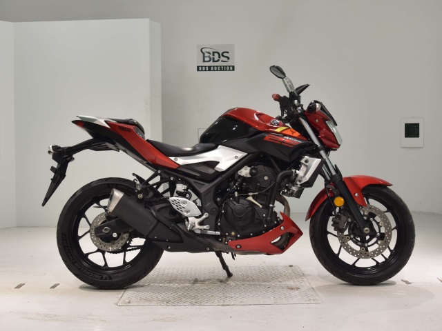 Yamaha MT-25 2016