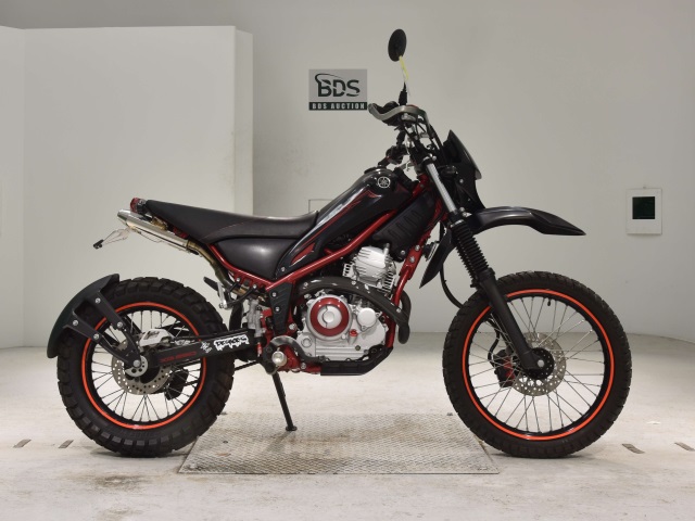 Yamaha TRICKER 2008