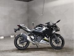 Kawasaki NINJA250 2019