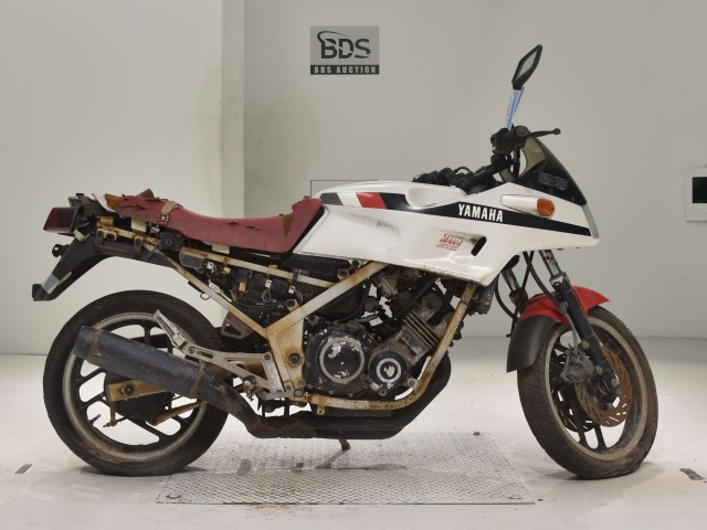 Yamaha FZ250 FAZER