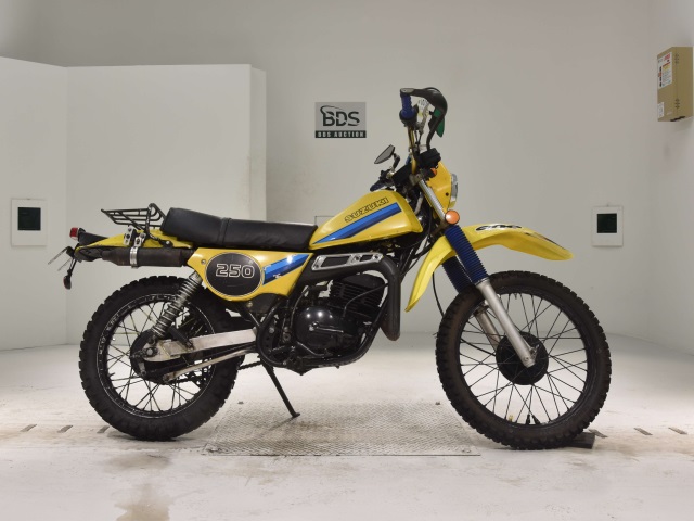 Suzuki TS250