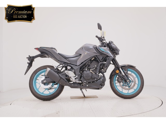 Yamaha MT-25 2024