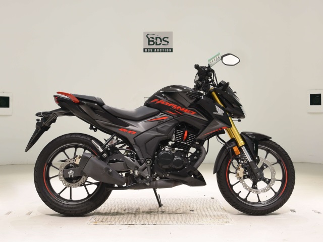 Honda HORNET 2.0 2022