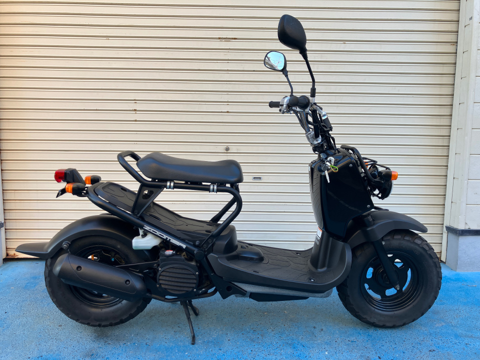 Honda ZOOMER 2009