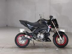 Kawasaki Z125 PRO 2016