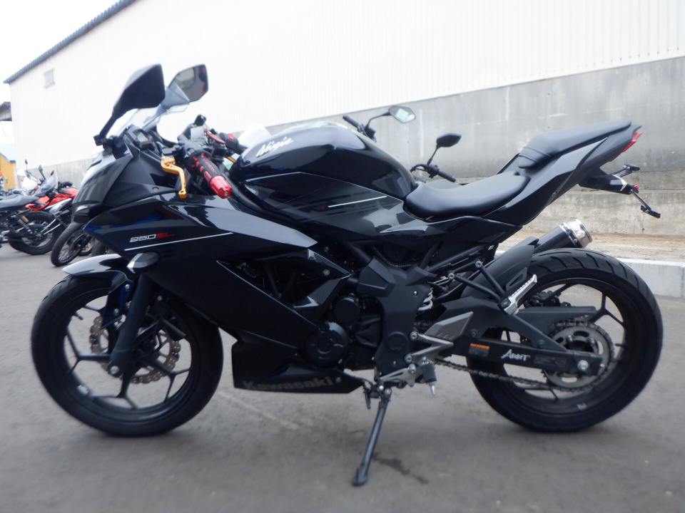 Kawasaki NINJA250 2016