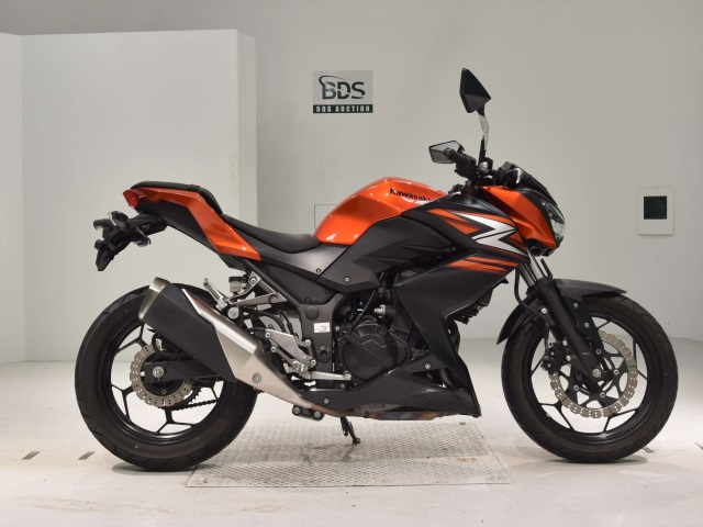 Kawasaki Z250 2014
