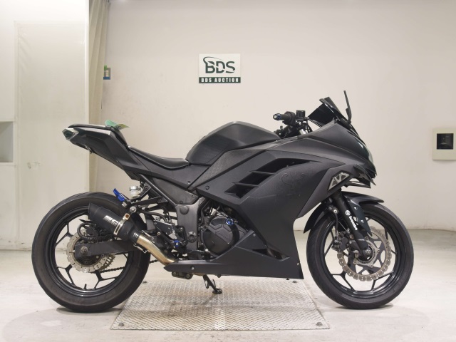 Kawasaki NINJA250 2014