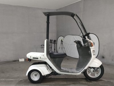 Honda GYRO CANOPY 2011