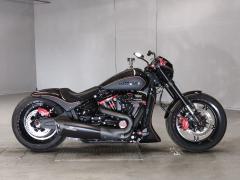 HD SOFTAIL FXDRS1870 2019