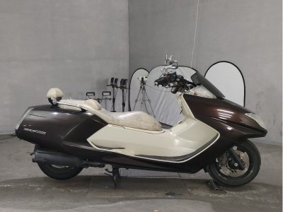 Yamaha MAGZAM 2007