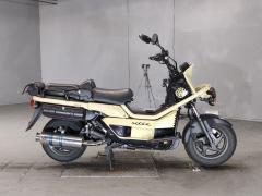 Honda PS250 BIG RUCKUS 2006