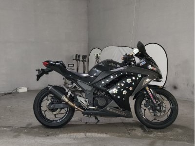Kawasaki NINJA250 2013