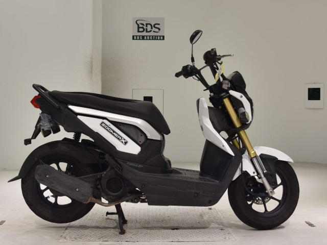 Honda ZOOMER-X 2014