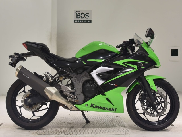 Kawasaki NINJA250 2015