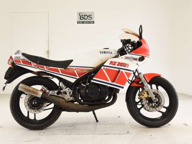 Yamaha RZ250RR 1984