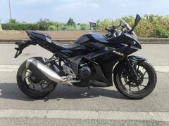 Suzuki GSX250R