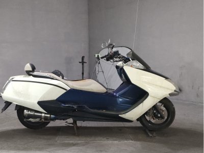 Yamaha MAGZAM 2010