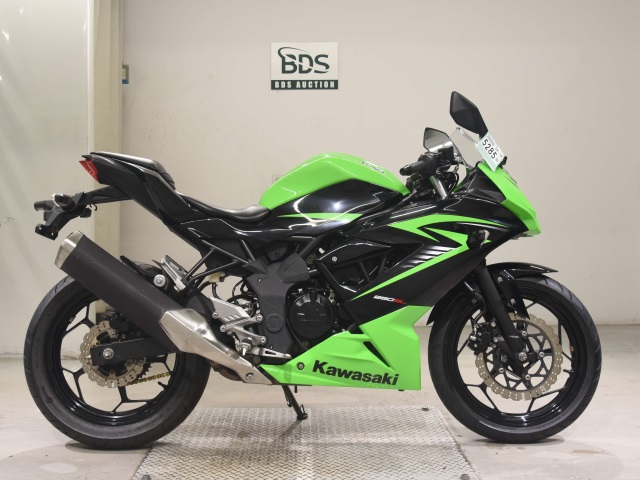 Kawasaki NINJA250 2015