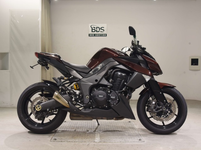 Kawasaki Z1000 2010