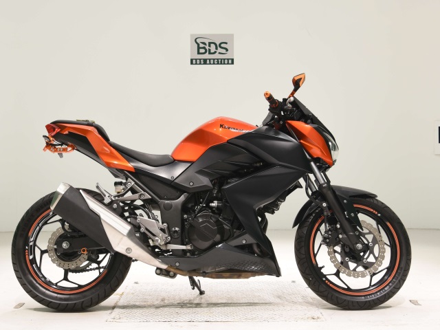 Kawasaki Z250 2014
