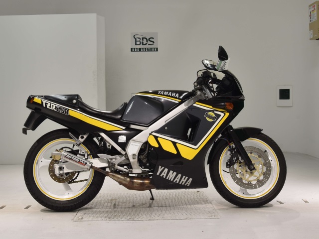 Yamaha TZR250