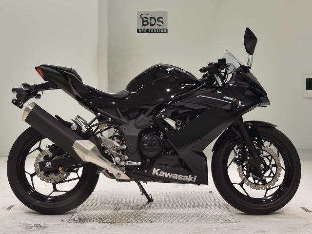 Kawasaki NINJA250 2016