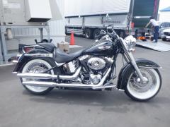 HD HERITAGE SPECIAL FLSTN 2010