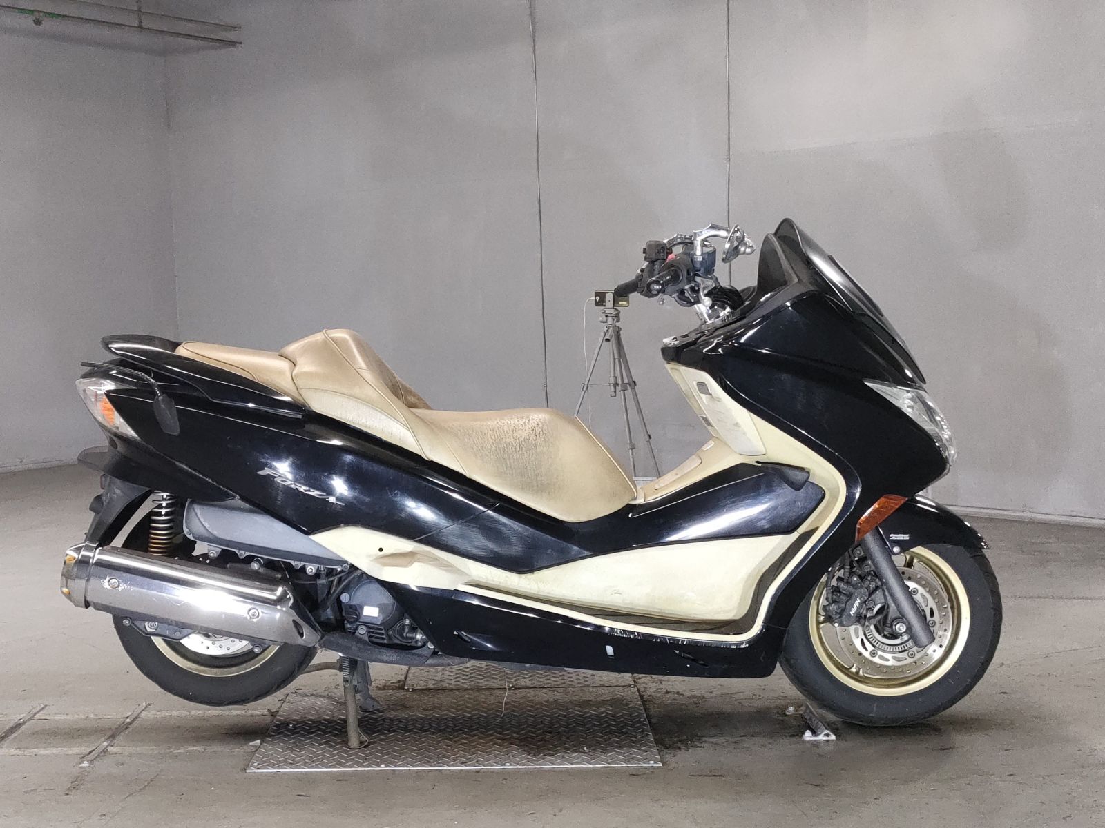 Honda FORZA Z 2008