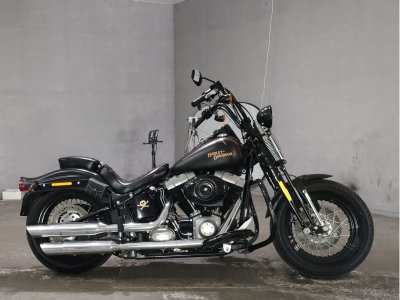 HD CROSS BONES FLSTSB1580 2010