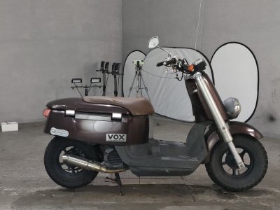 Yamaha VOX 2010
