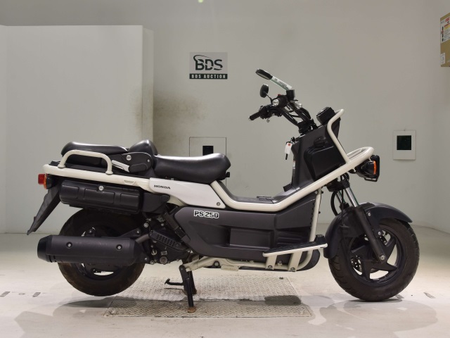 Honda PS250 BIG RUCKUS 2004
