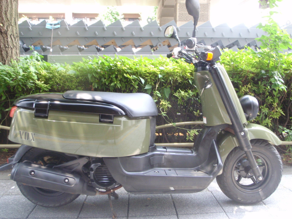 Yamaha VOX 2010