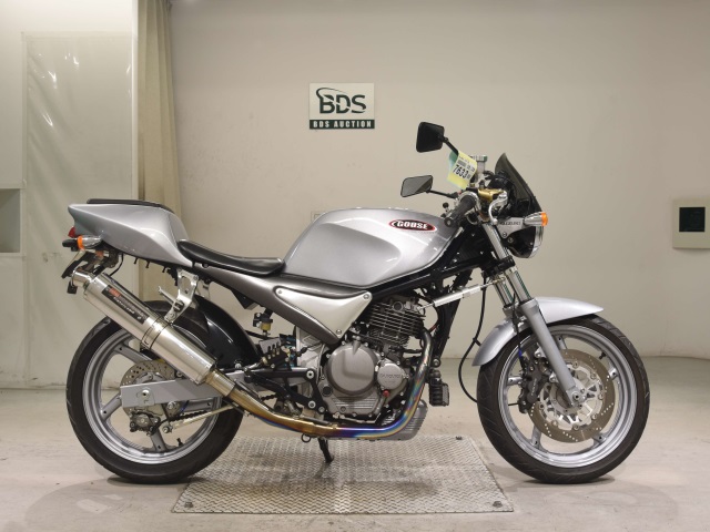 Suzuki GOOSE250 1992