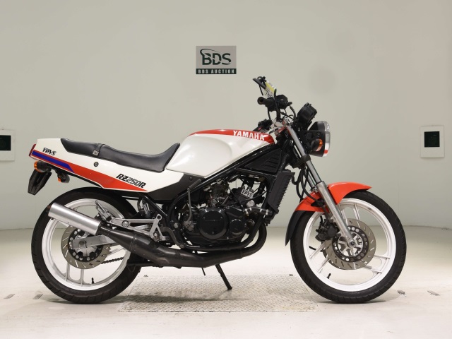 Yamaha RZ250R 1986
