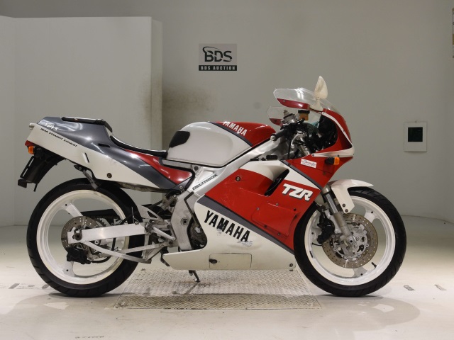 Yamaha TZR250 1990