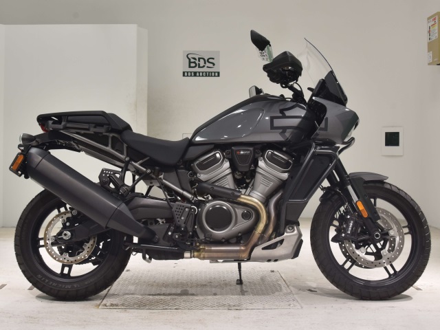 HD PAN AMERICA1250 S 2021