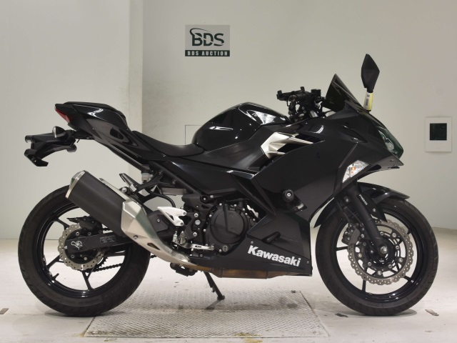 Kawasaki NINJA250 2019