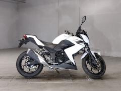 Kawasaki Z250 2013