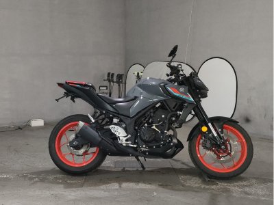 Yamaha MT-25 2021