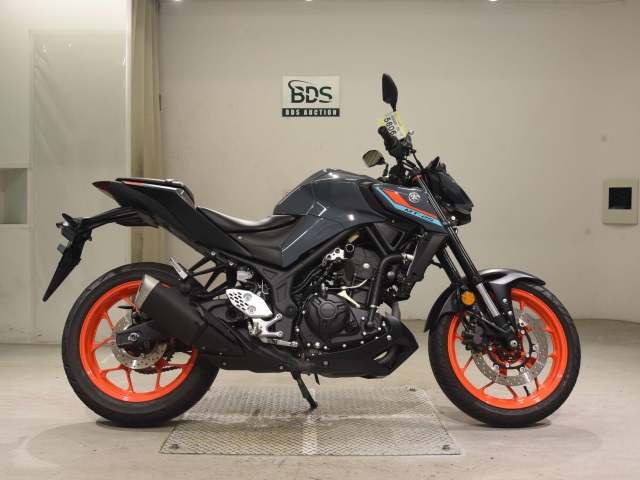 Yamaha MT-25 2021