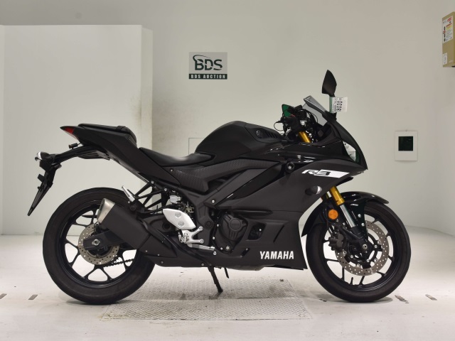 Yamaha YZF-R3 2019