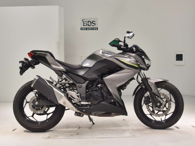 Kawasaki Z250A 2017