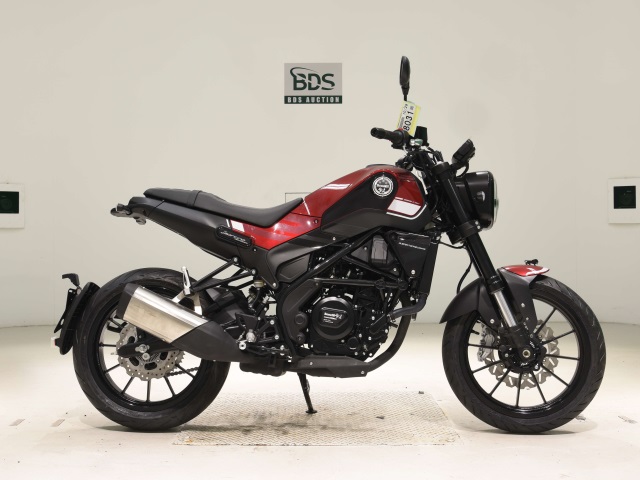 Benelli LEONCINO 250 2022