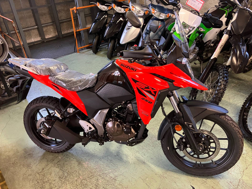 Suzuki V-STROM SX