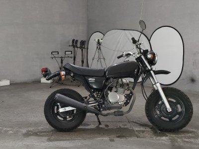 Honda APE50 2008
