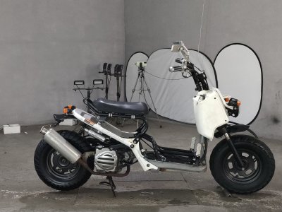 Honda ZOOMER 2004