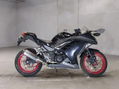 Kawasaki NINJA250 2013