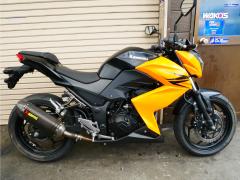 Kawasaki Z250 2013